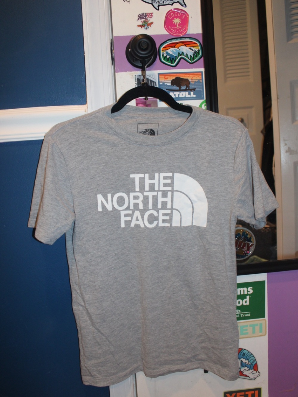 The North Face Circular Design Half Dome Tee - Heather Grey - XS